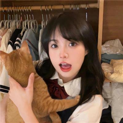 情来.算尽爱